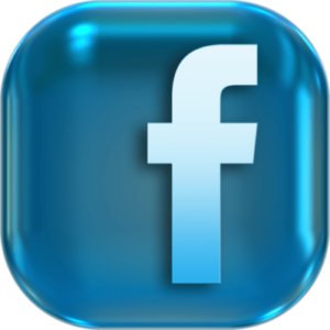 Blue Facebook Icon Badge