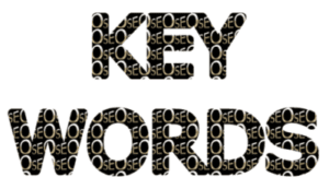 SEO Keyword Search Analysis