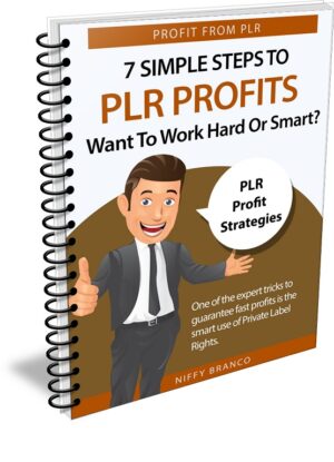 7 Simple Steps PLR Profits